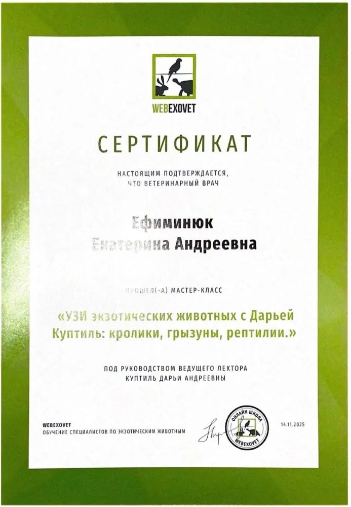 Документ или сертификат