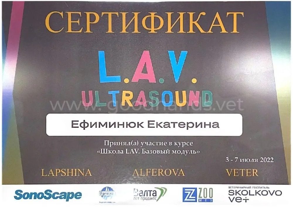 Документ или сертификат