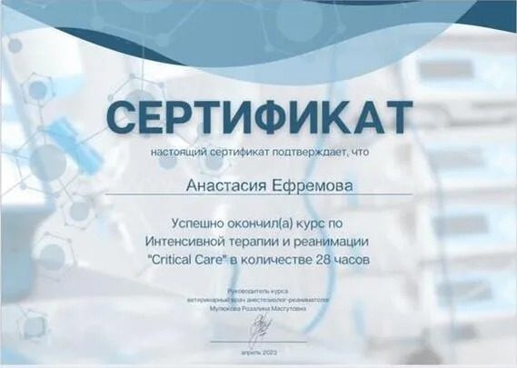 Документ или сертификат