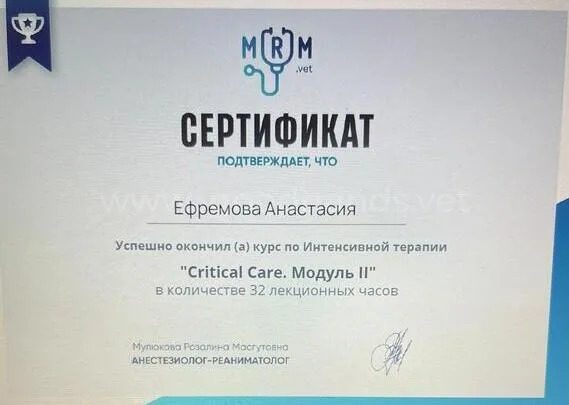 Документ или сертификат