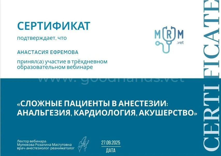 Документ или сертификат