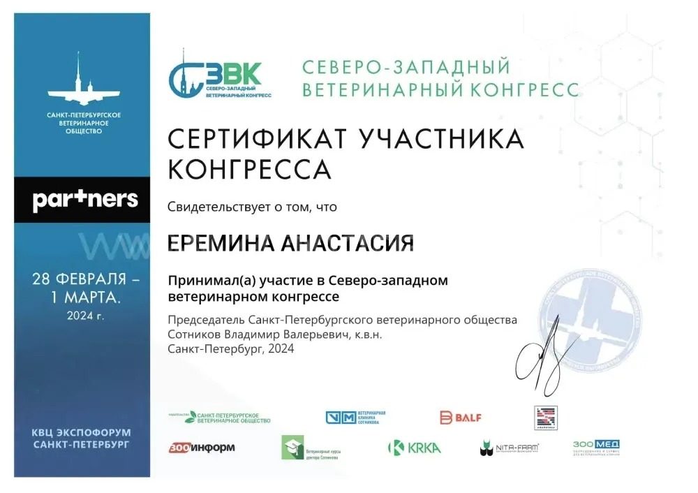 Документ или сертификат