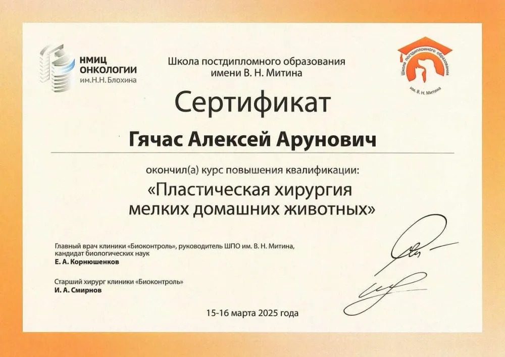 Документ или сертификат