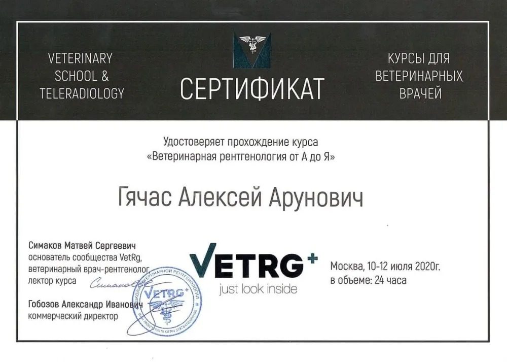 Документ или сертификат