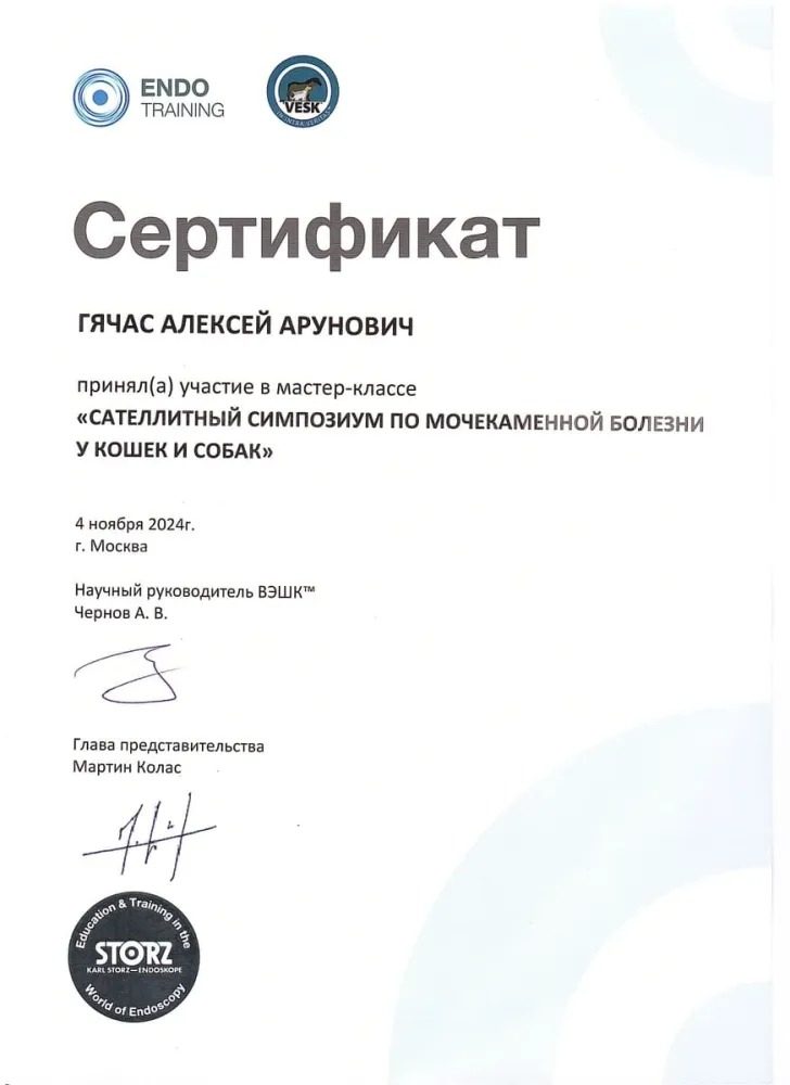 Документ или сертификат