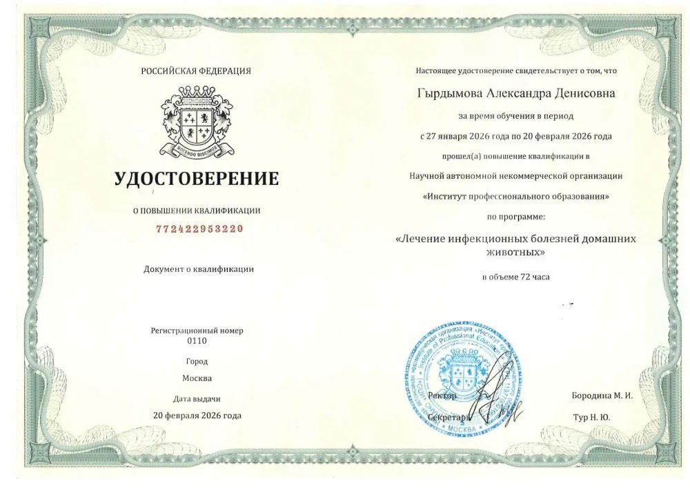 Документ или сертификат