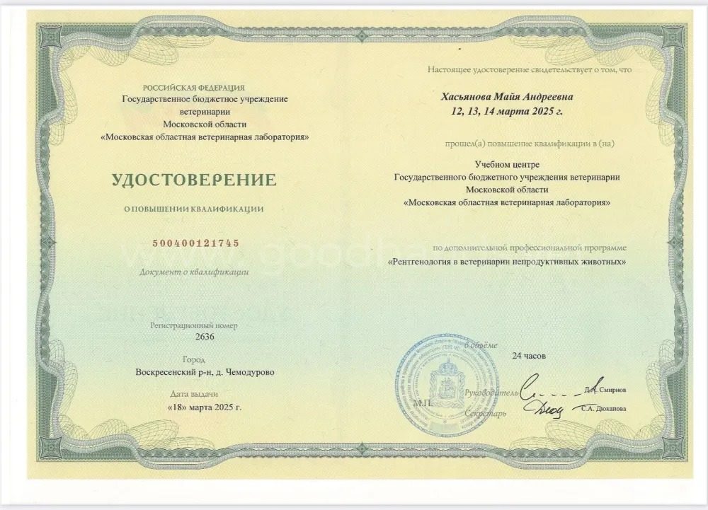 Документ или сертификат