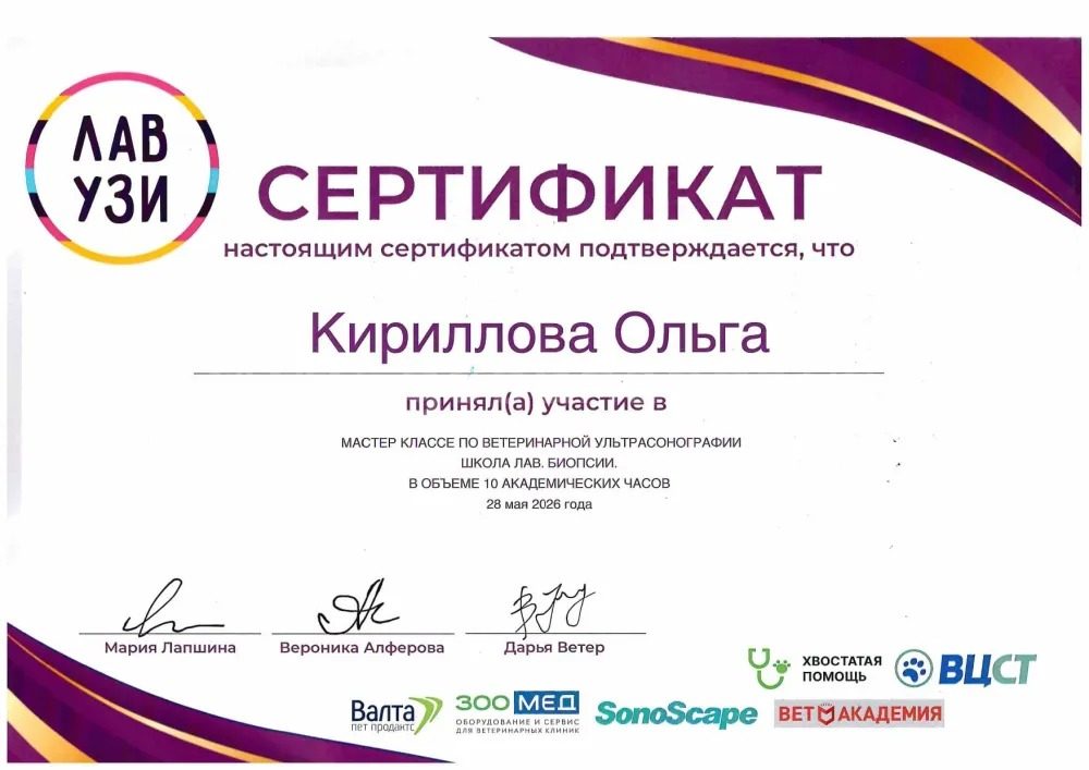 Документ или сертификат