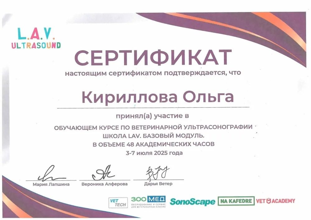 Документ или сертификат