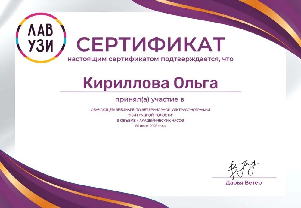 Документ или сертификат