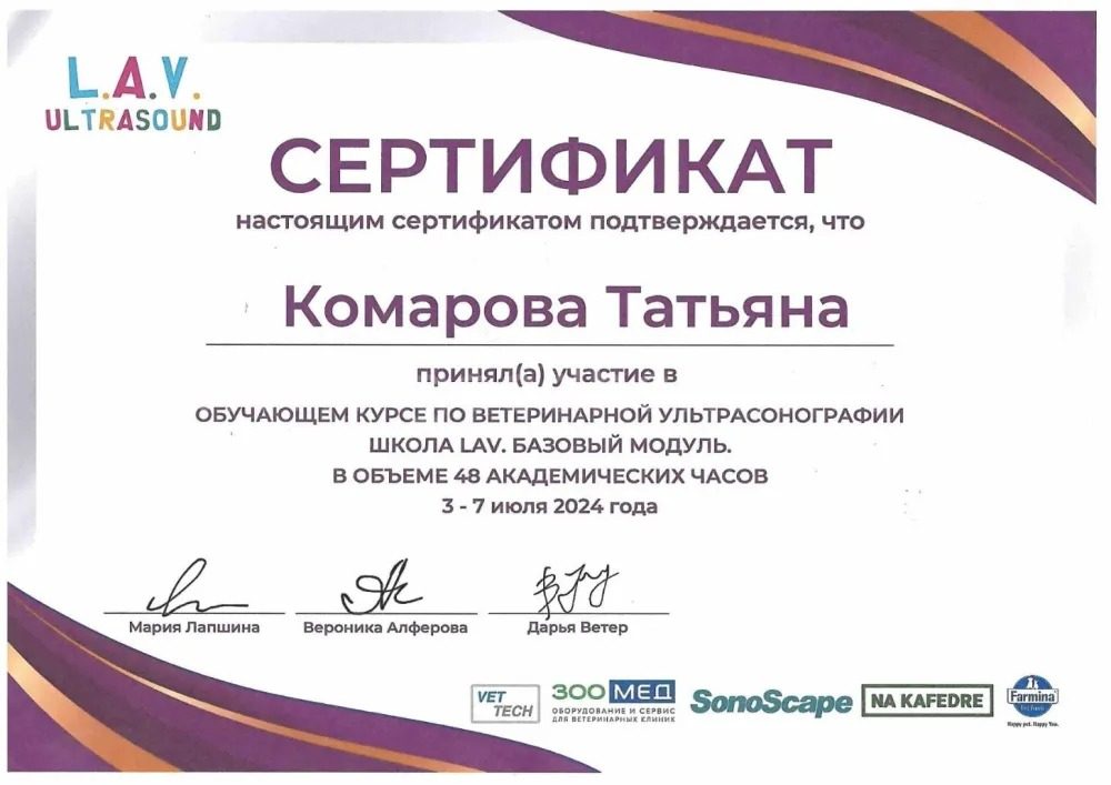 Документ или сертификат