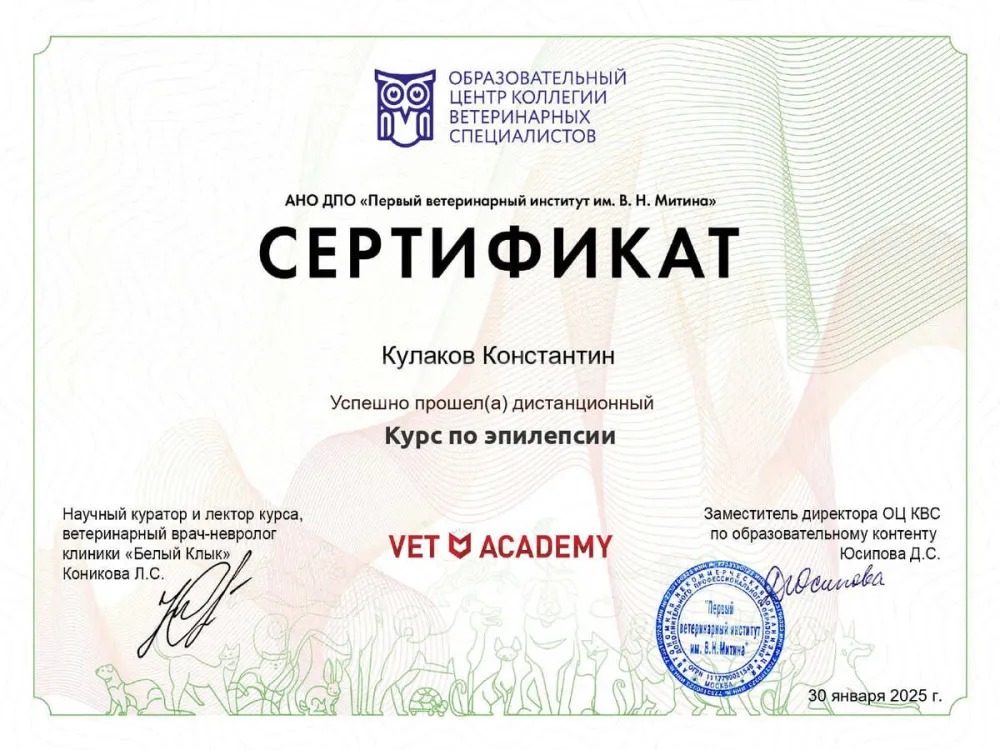 Документ или сертификат