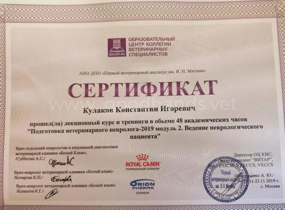 Документ или сертификат