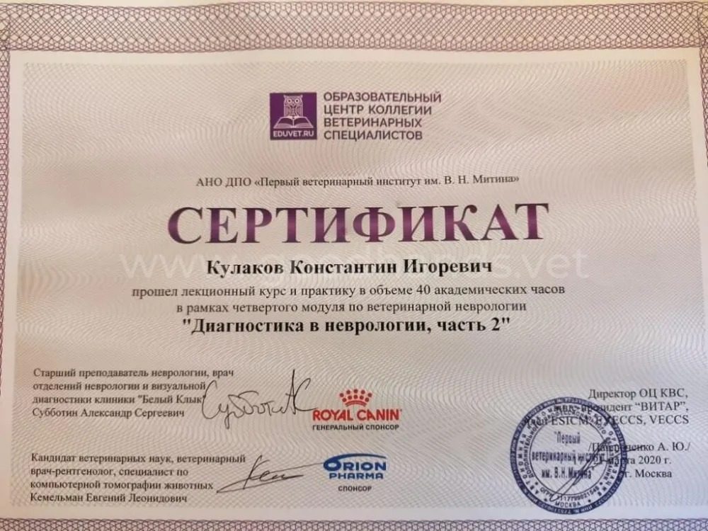Документ или сертификат