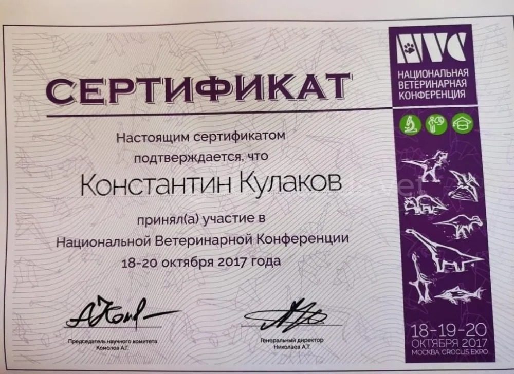 Документ или сертификат