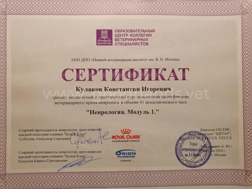 Документ или сертификат
