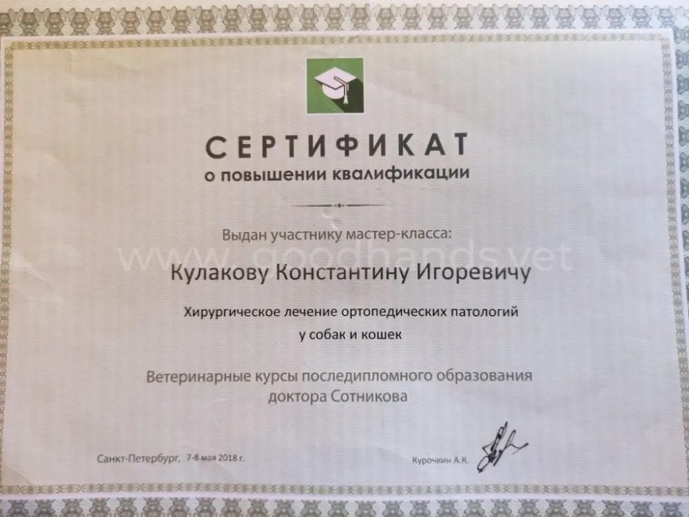Документ или сертификат