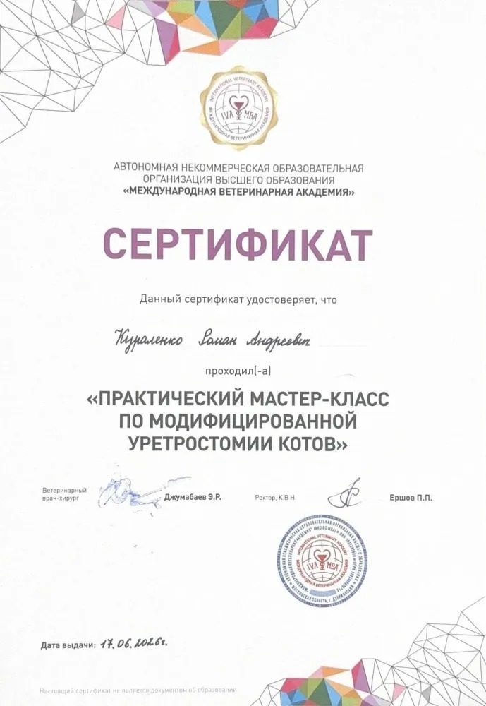 Документ или сертификат