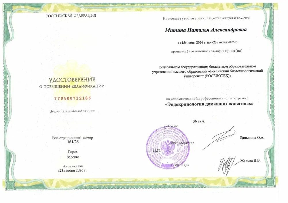 Документ или сертификат