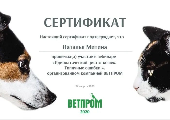 Документ или сертификат