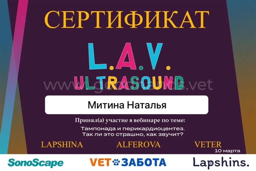 Документ или сертификат