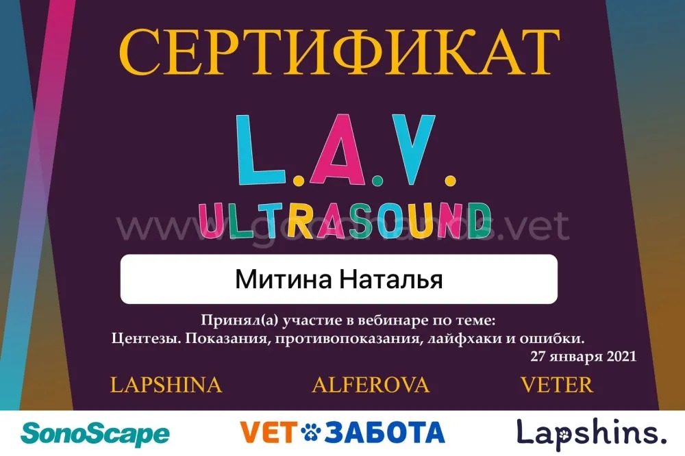 Документ или сертификат