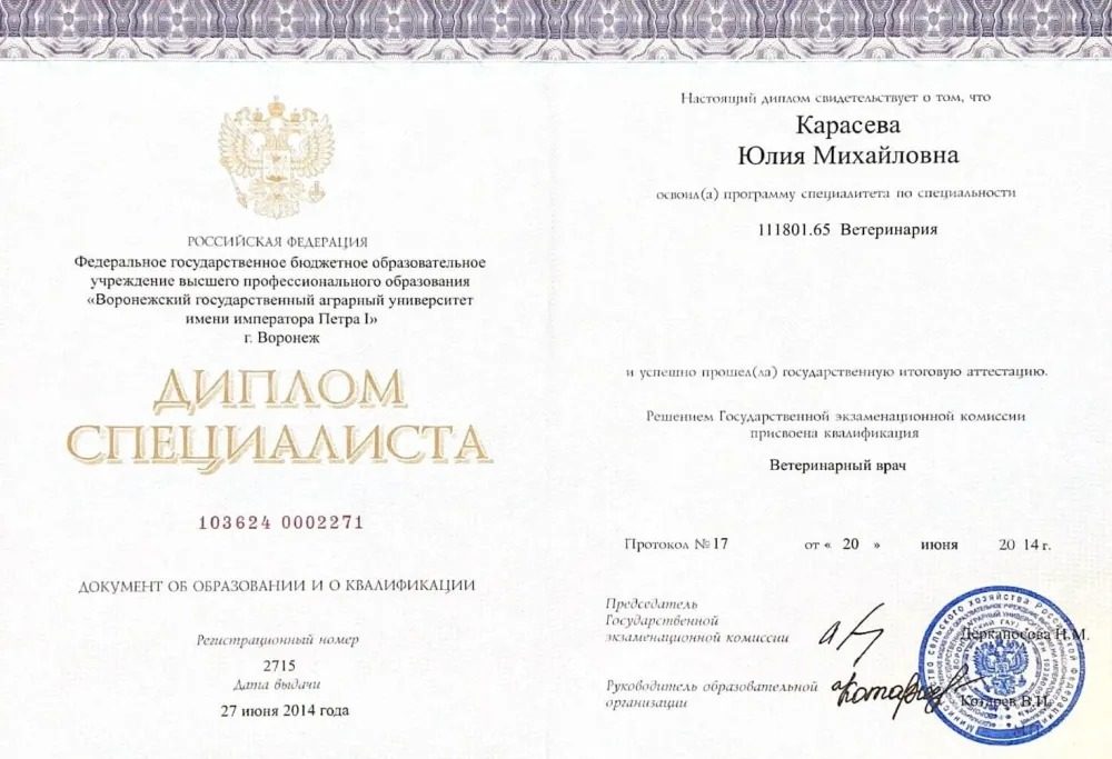 Документ или сертификат