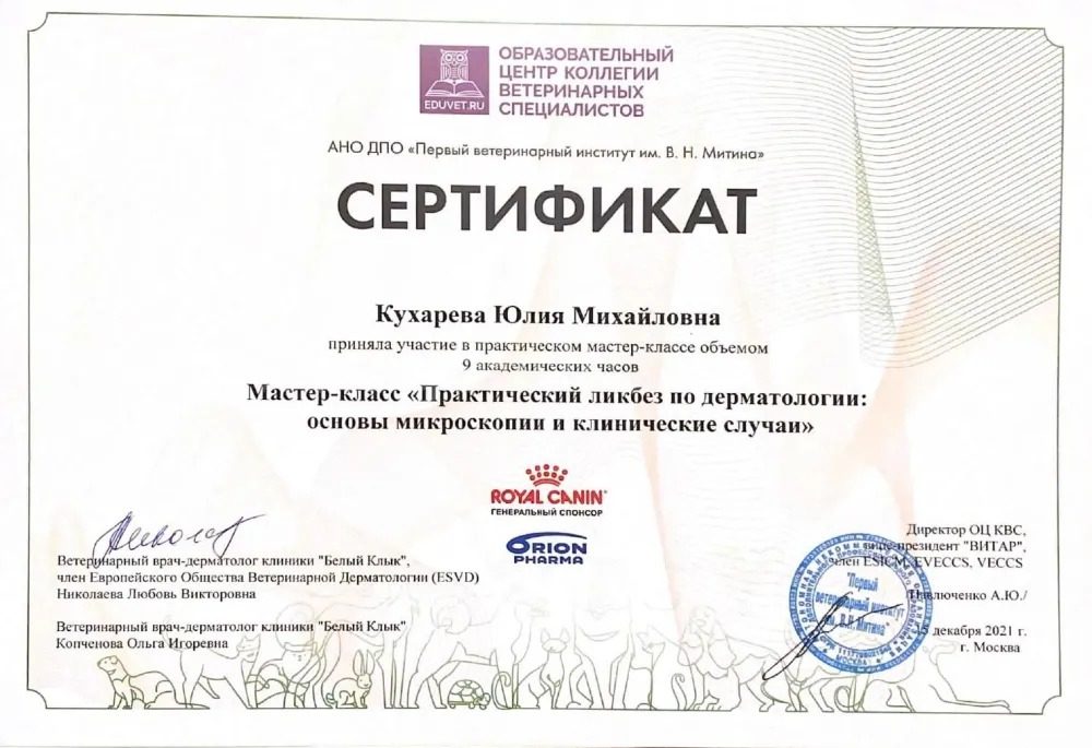 Документ или сертификат