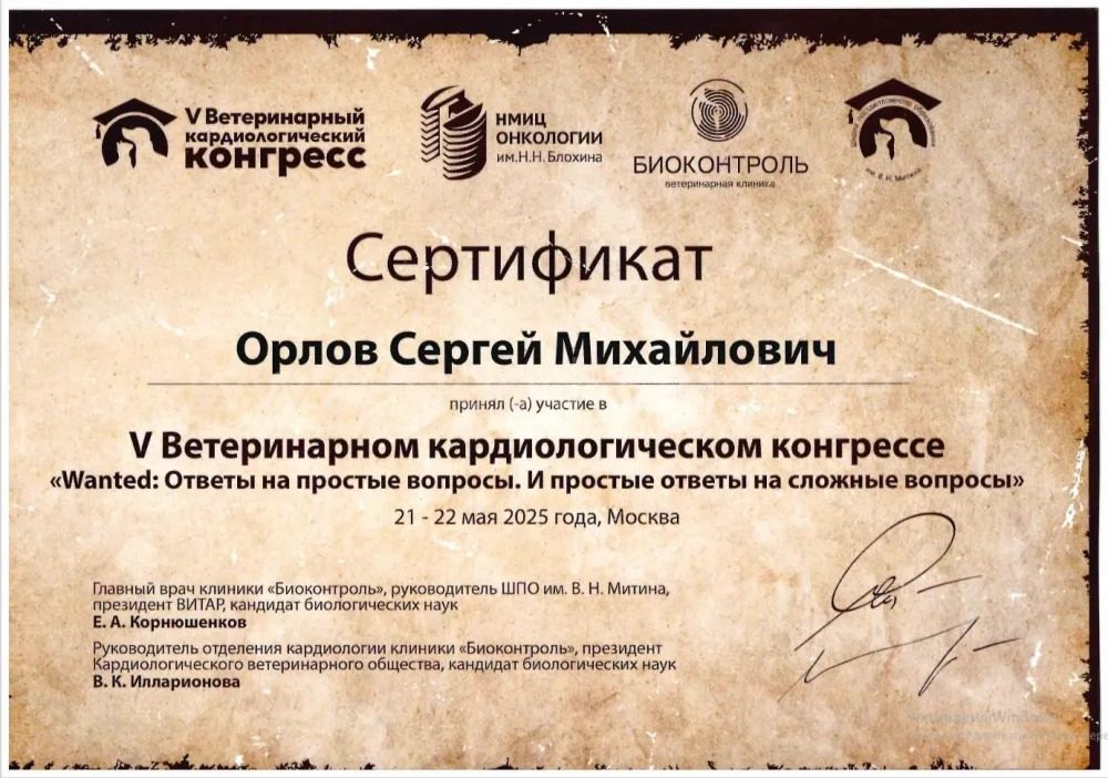 Документ или сертификат