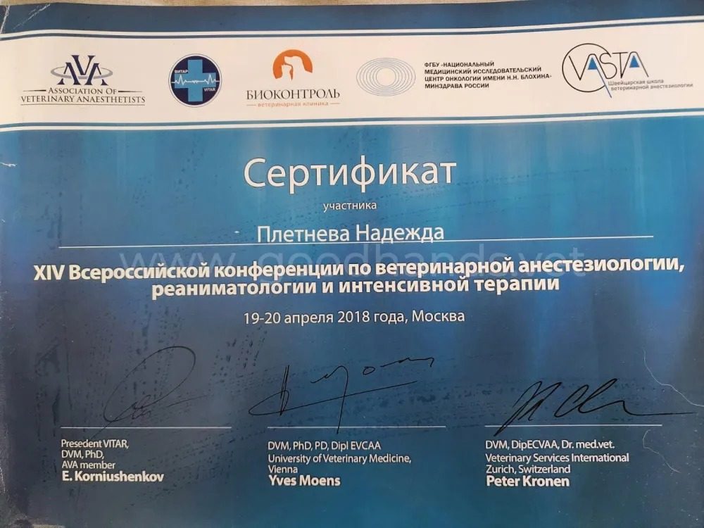 Документ или сертификат