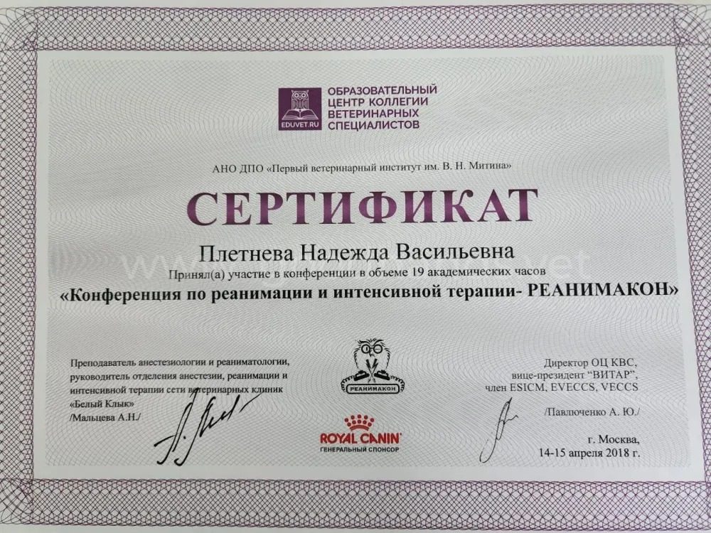 Документ или сертификат