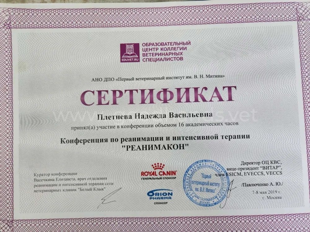 Документ или сертификат
