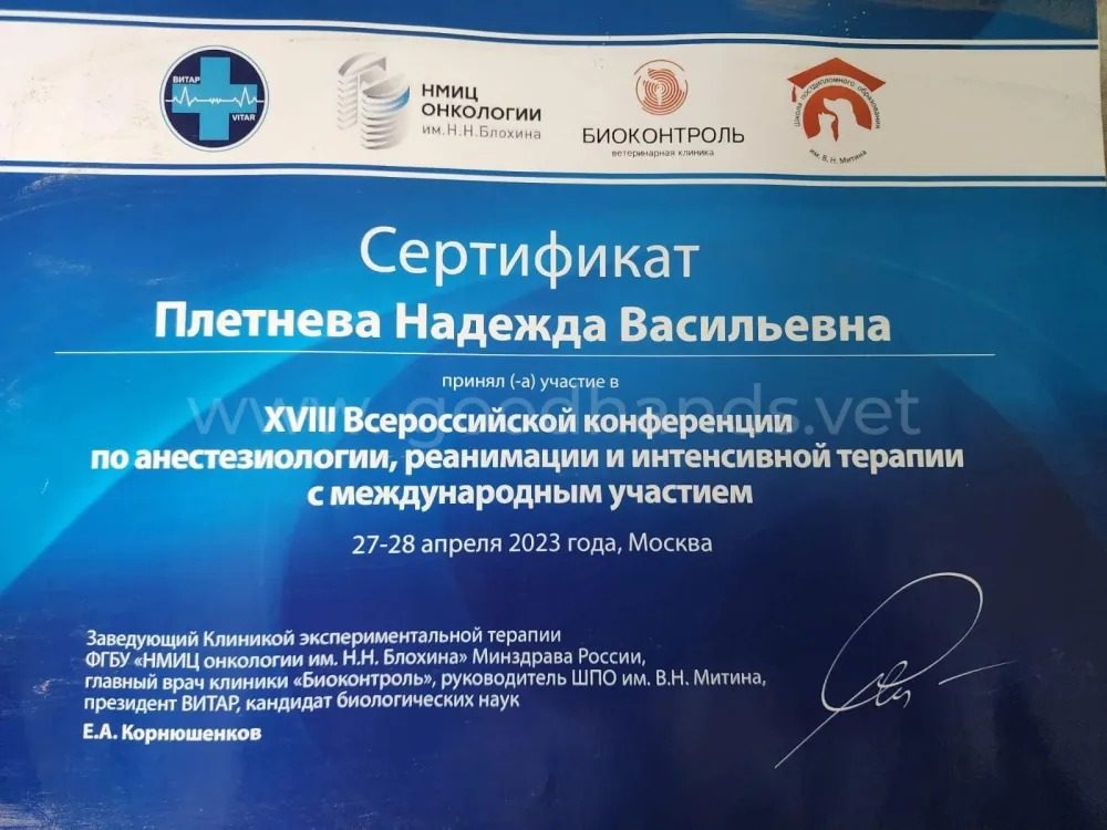 Документ или сертификат