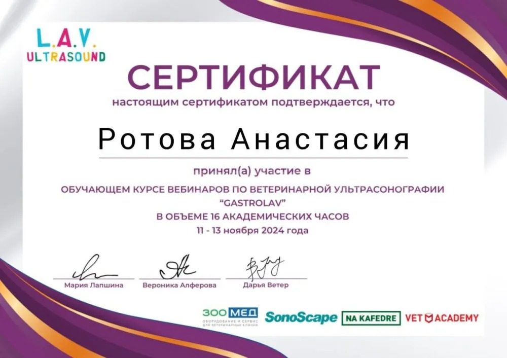 Документ или сертификат