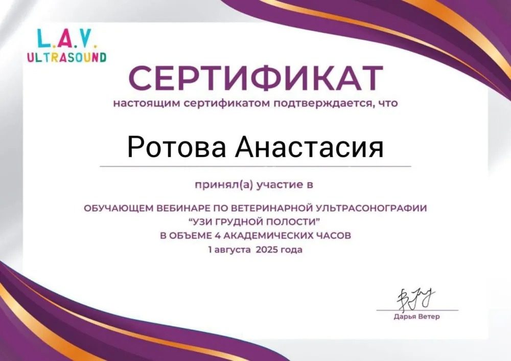 Документ или сертификат