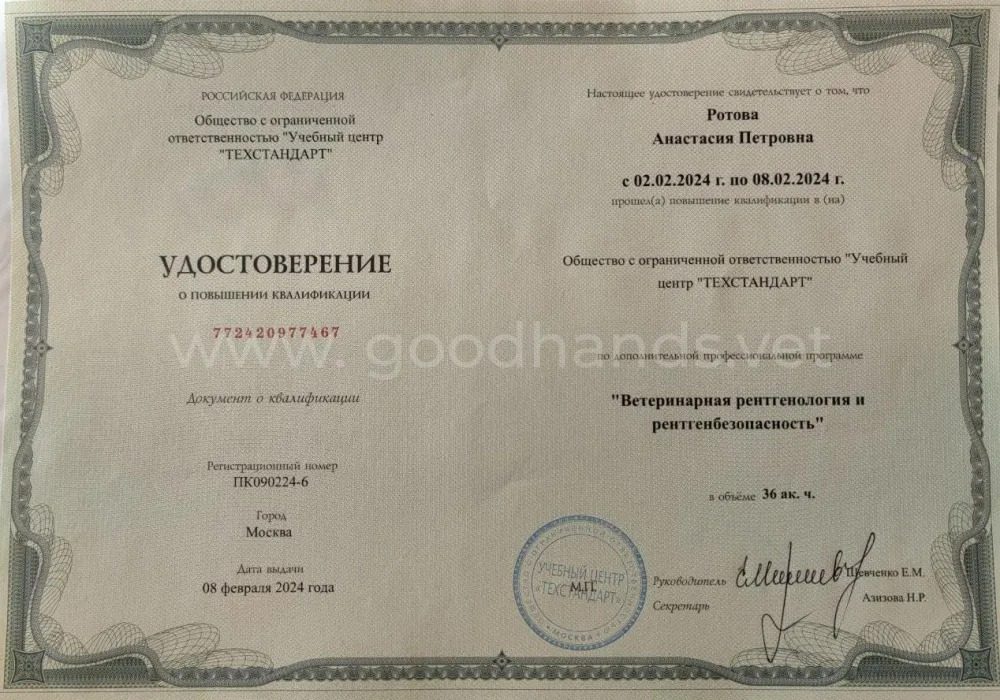 Документ или сертификат