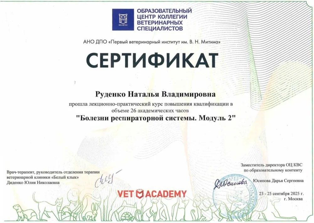 Документ или сертификат