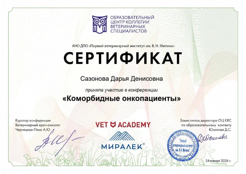Документ или сертификат