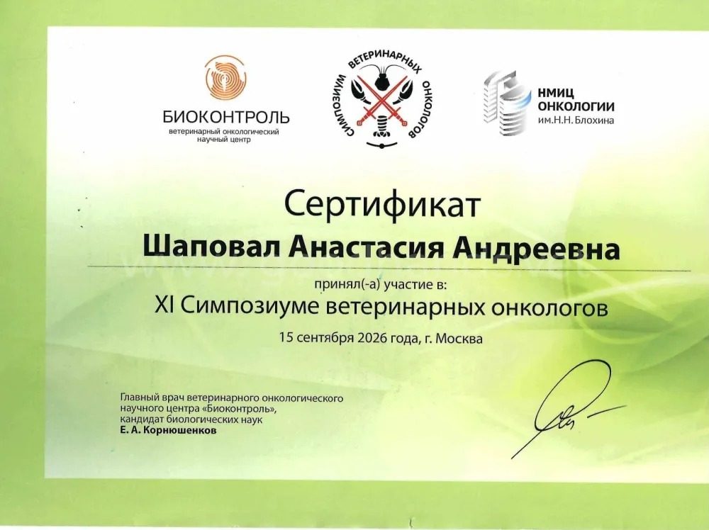 Документ или сертификат