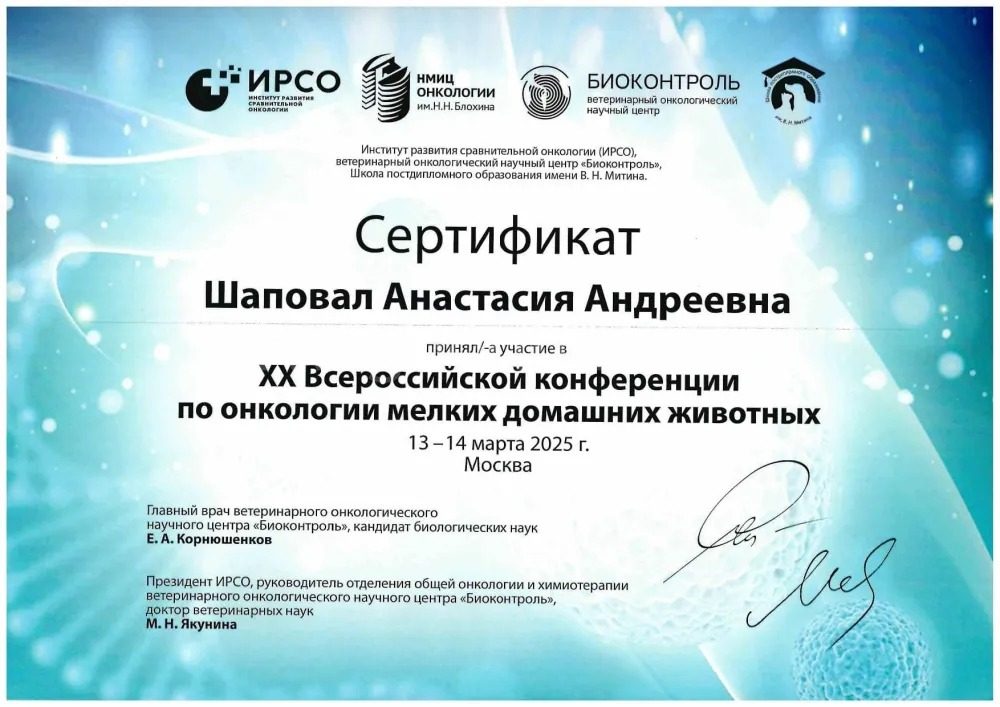 Документ или сертификат