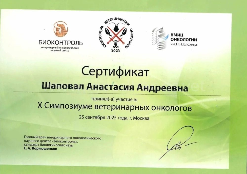 Документ или сертификат