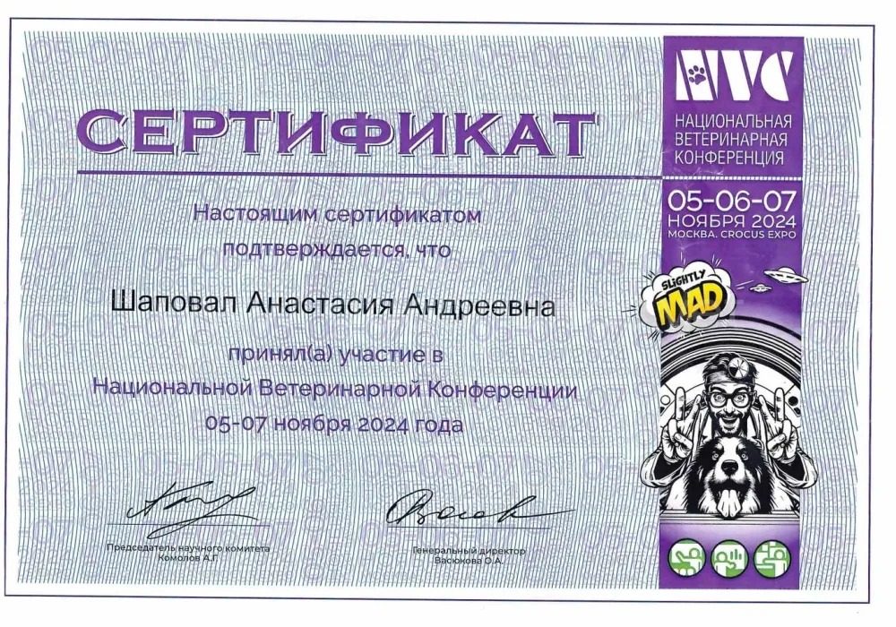 Документ или сертификат
