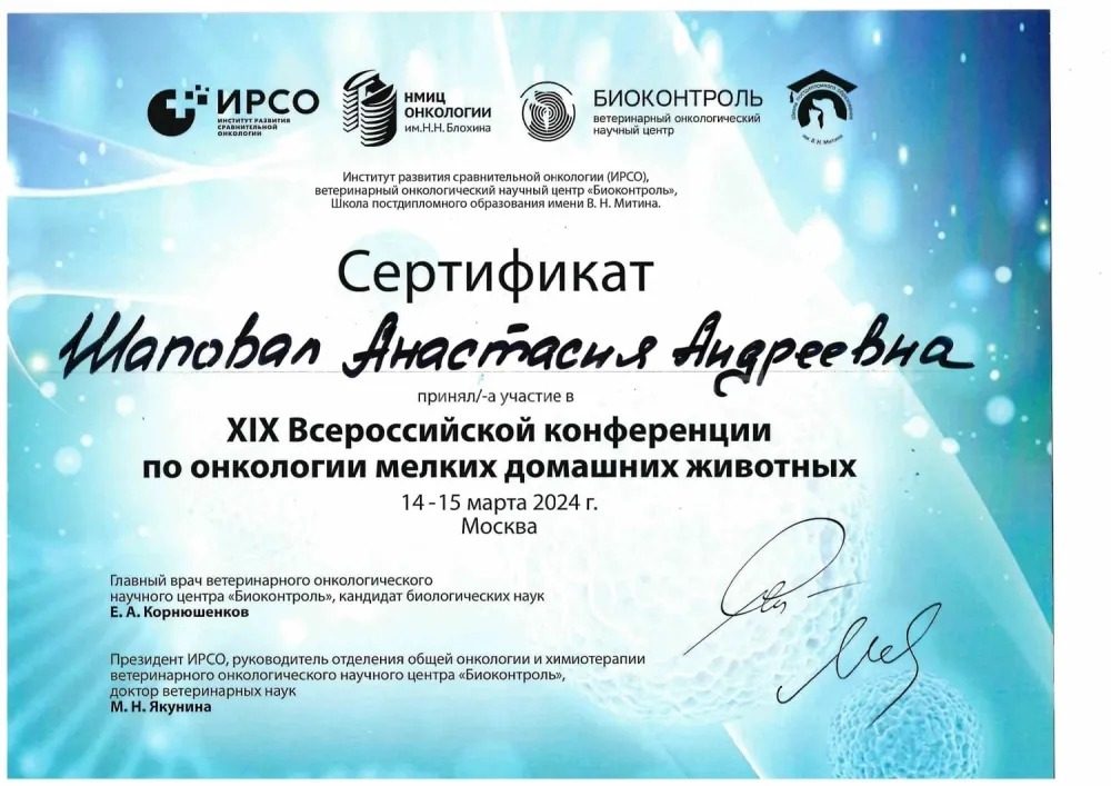Документ или сертификат