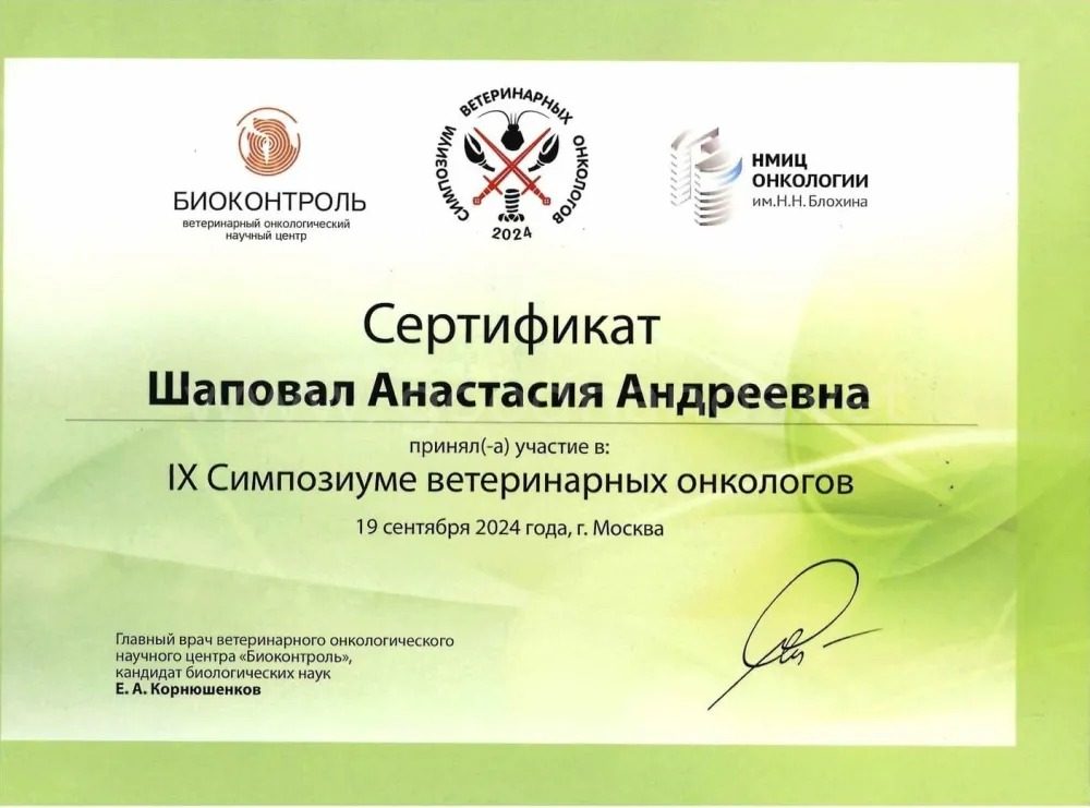 Документ или сертификат