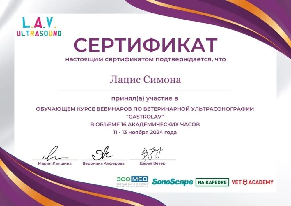 Документ или сертификат