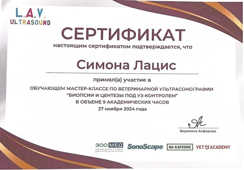 Документ или сертификат