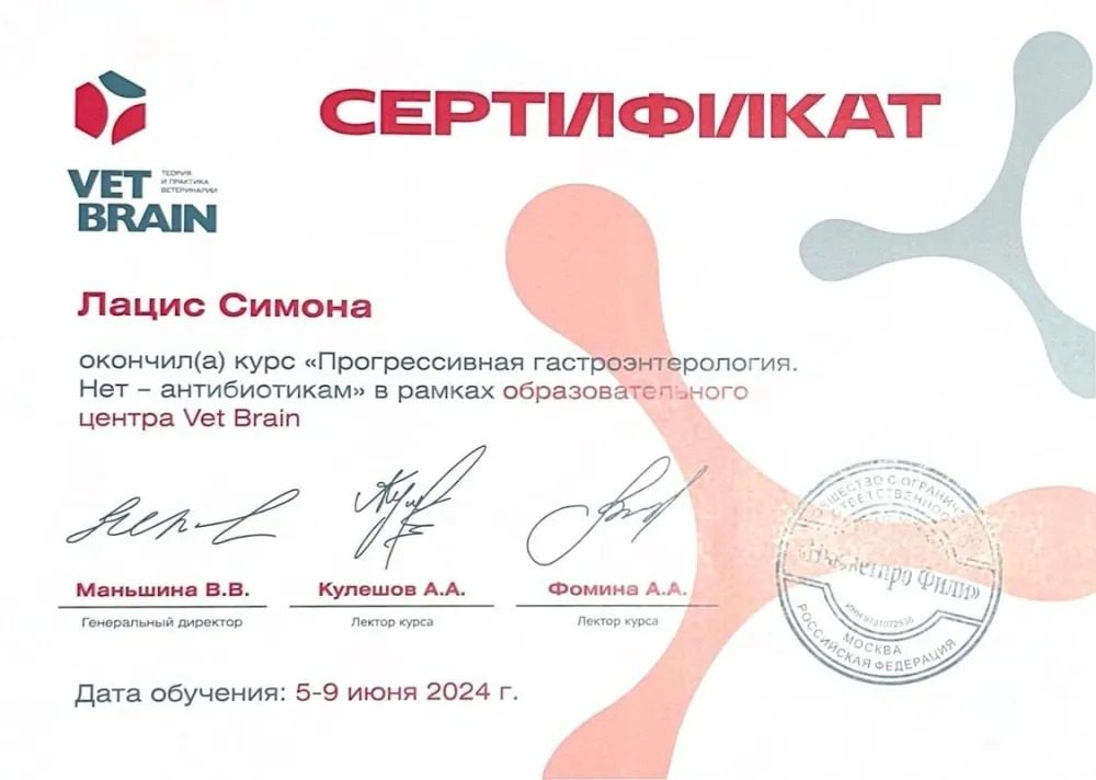 Документ или сертификат