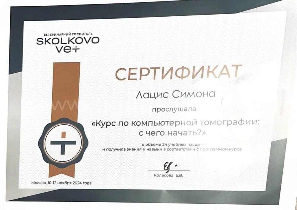 Документ или сертификат