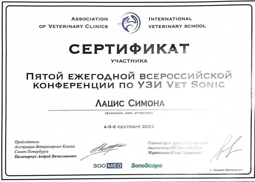 Документ или сертификат