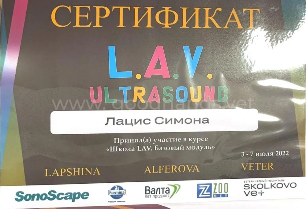 Документ или сертификат